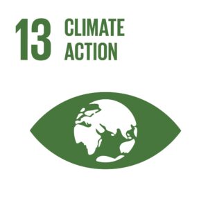 13-Climate action logo